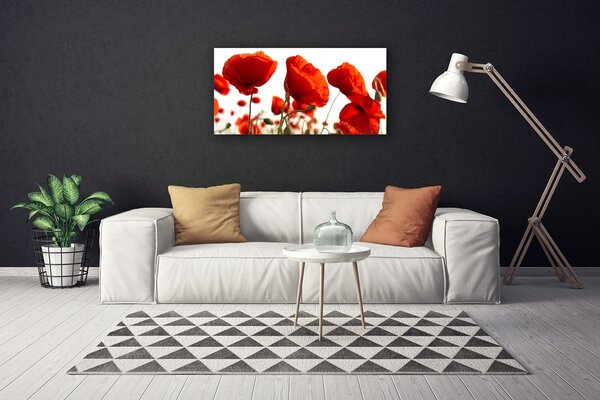 Quadro su tela Natura, papaveri, piante 100x50 cm