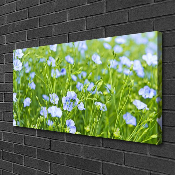 Quadro su tela Fiori. Erba. Pianta. Natura 100x50 cm