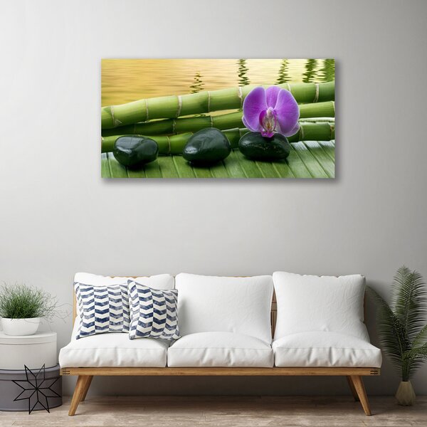 Quadro su tela Pietre di fiori Natura di bambù 100x50 cm