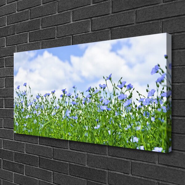 Quadro su tela Fiori, piante, natura 100x50 cm