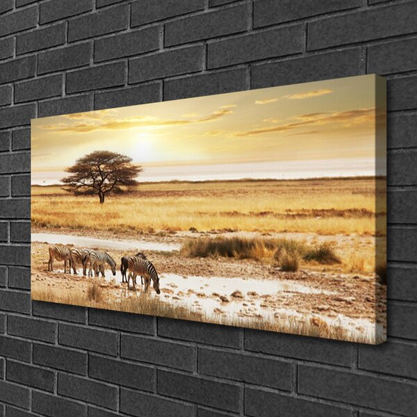 Stampa quadro su tela Paesaggio di safari delle zebre 100x50 cm