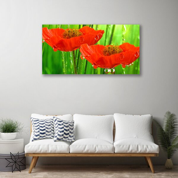 Quadro su tela Natura, papaveri, piante 100x50 cm