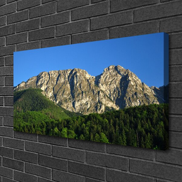 Quadro su tela Montagna della foresta della natura 100x50 cm