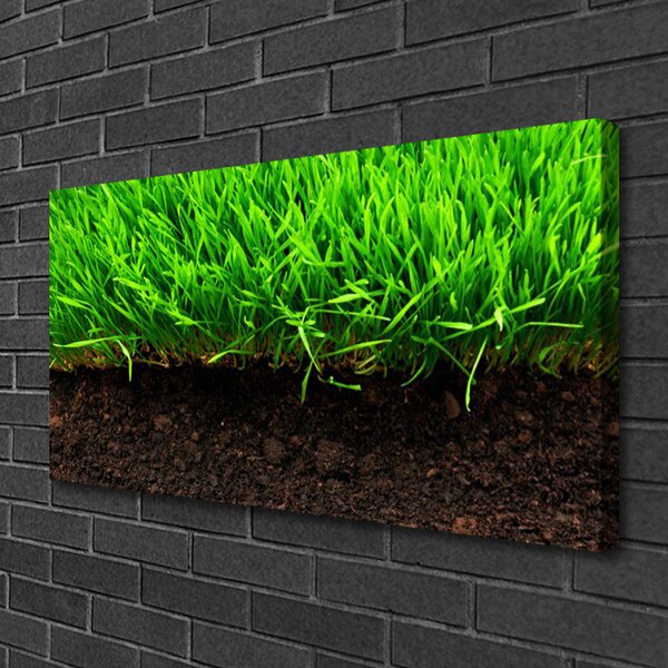 Quadro su tela Erba Natura Pianta 100x50 cm