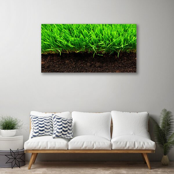 Quadro su tela Erba Natura Pianta 100x50 cm