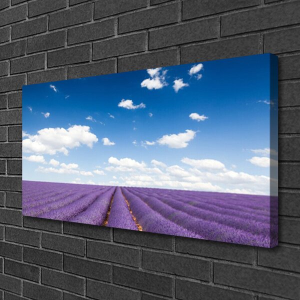 Quadro su tela Prato, fiori, natura 100x50 cm