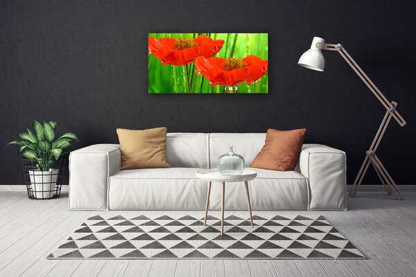 Quadro su tela Natura, papaveri, piante 100x50 cm