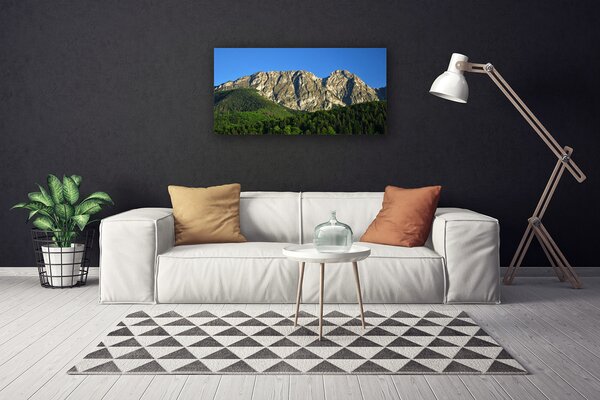 Quadro su tela Montagna della foresta della natura 100x50 cm