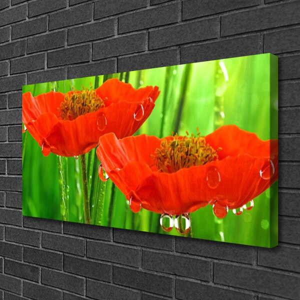 Quadro su tela Natura, papaveri, piante 100x50 cm