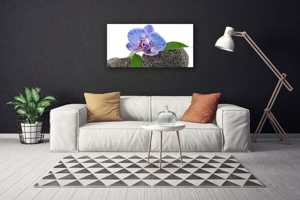 Stampa quadro su tela Fiore, pianta, natura 100x50 cm