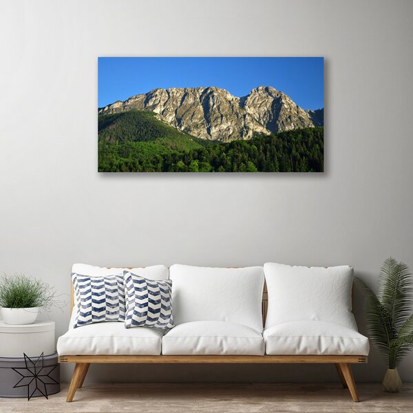 Quadro su tela Montagna della foresta della natura 100x50 cm