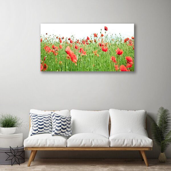 Quadro su tela Natura, papaveri, piante 100x50 cm