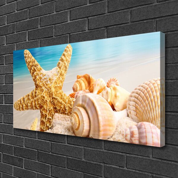 Quadro su tela Conchiglia di stelle marine Art 100x50 cm