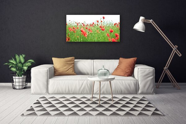 Quadro su tela Natura, papaveri, piante 100x50 cm