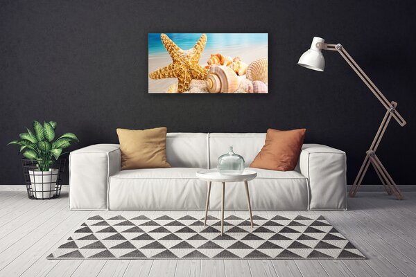 Quadro su tela Conchiglia di stelle marine Art 100x50 cm
