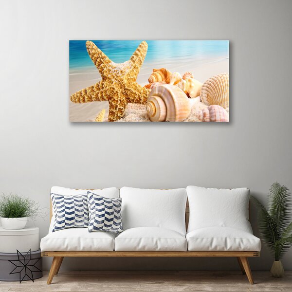 Quadro su tela Conchiglia di stelle marine Art 100x50 cm
