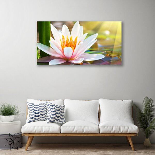 Quadro su tela Fiori, piante, natura 100x50 cm