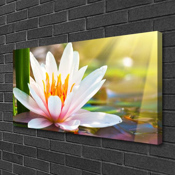 Quadro su tela Fiori, piante, natura 100x50 cm