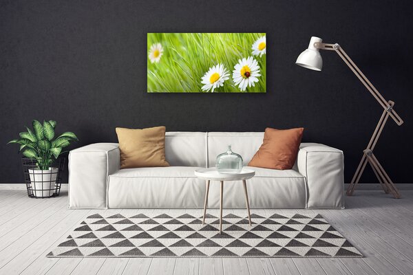Quadro su tela Erba, margherite, natura 100x50 cm