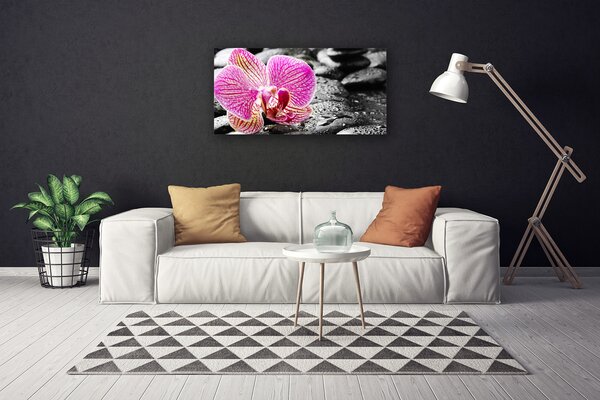 Quadro su tela Fiore di pietre di orchidea 100x50 cm