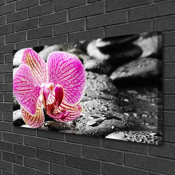 Quadro su tela Fiore di pietre di orchidea 100x50 cm