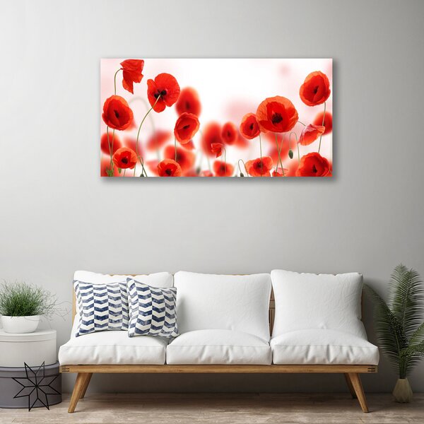 Quadro su tela Natura, papaveri, piante 100x50 cm