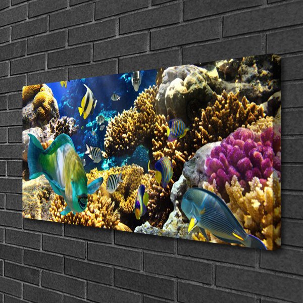Quadro su tela Natura della barriera corallina 100x50 cm