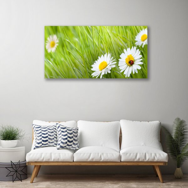 Quadro su tela Erba, margherite, natura 100x50 cm