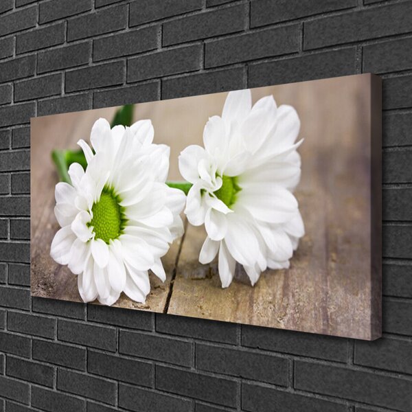 Stampa quadro su tela Fiori, piante, natura 100x50 cm