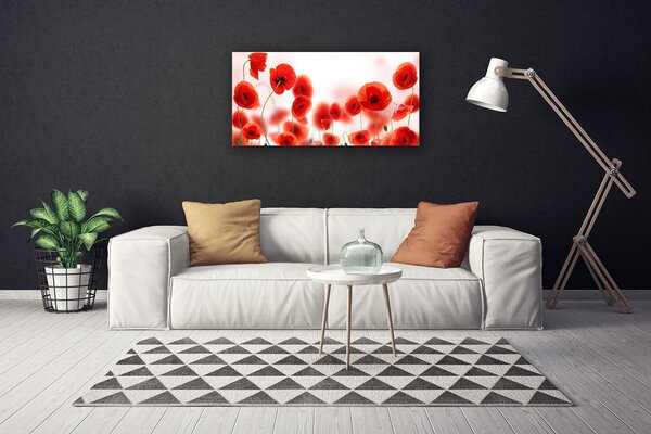 Quadro su tela Natura, papaveri, piante 100x50 cm