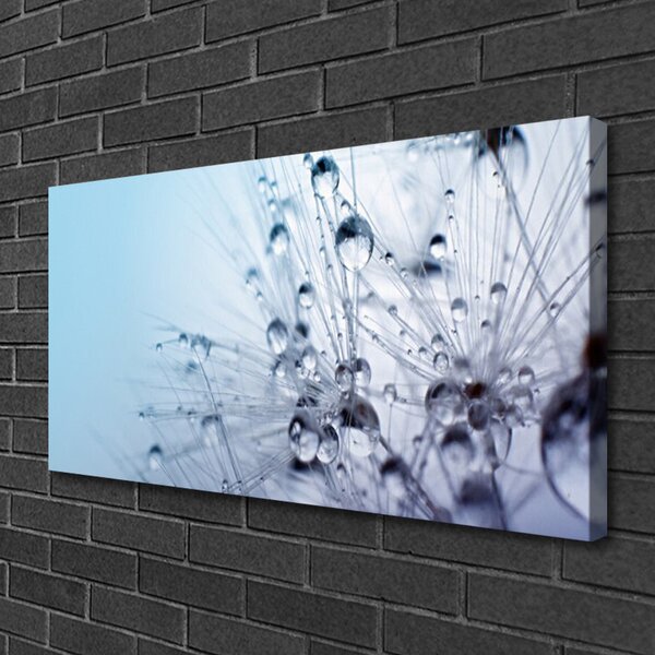 Quadro su tela Pianta di tarassaco 100x50 cm