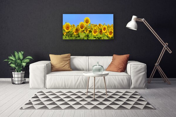 Stampa quadro su tela Pianta di fiori di girasole 100x50 cm