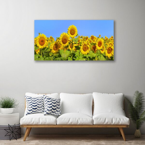 Stampa quadro su tela Pianta di fiori di girasole 100x50 cm