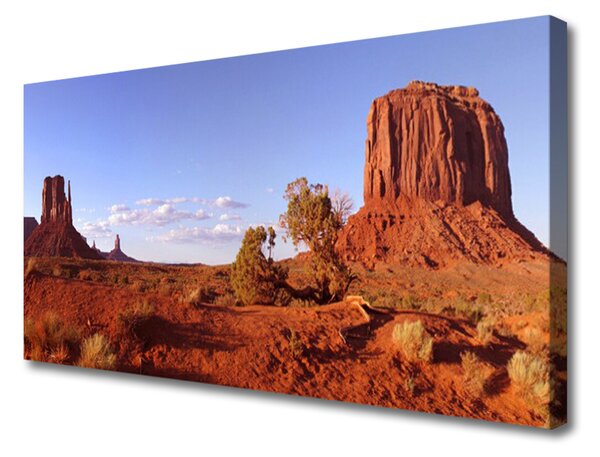 Quadro su tela Paesaggio di sabbia del deserto 100x50 cm