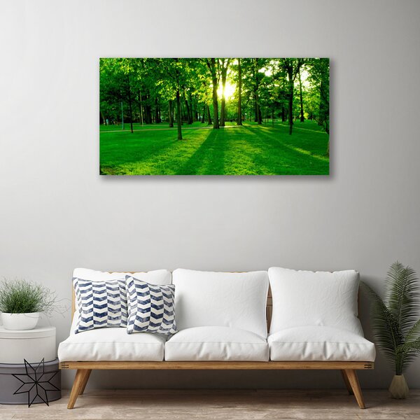 Quadro su tela Parco Naturale della Foresta 100x50 cm