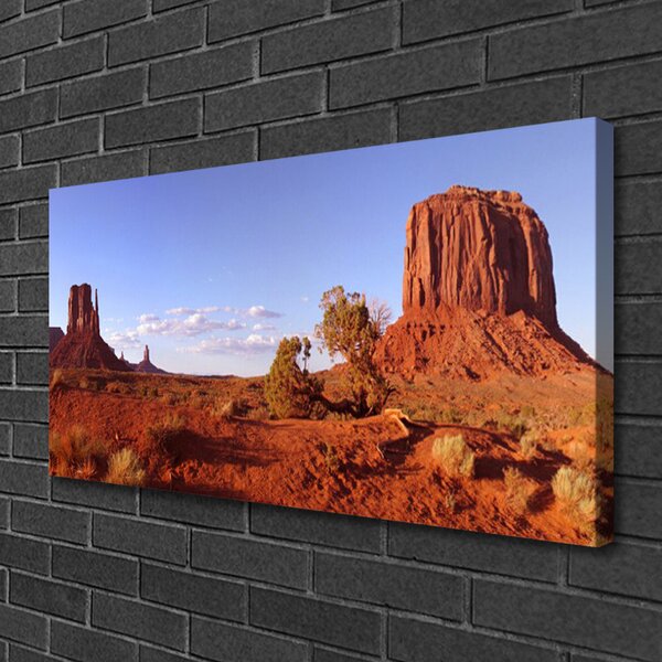 Quadro su tela Paesaggio di sabbia del deserto 100x50 cm
