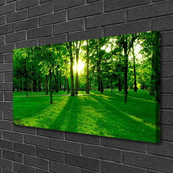 Quadro su tela Parco Naturale della Foresta 100x50 cm