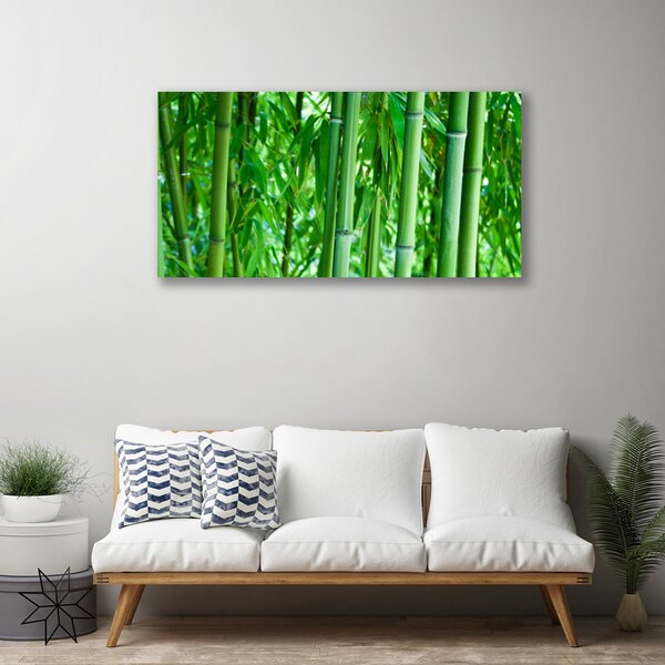 Quadro su tela Stelo di piante di bambù 100x50 cm
