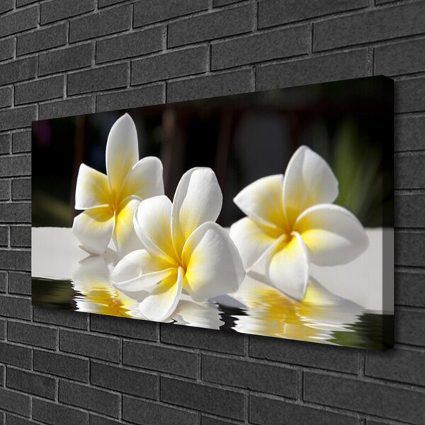 Quadro stampa su tela Fiori, piante, natura 100x50 cm
