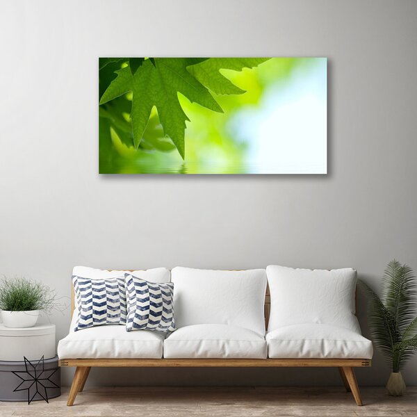Quadro su tela Foglie di piante naturali 100x50 cm