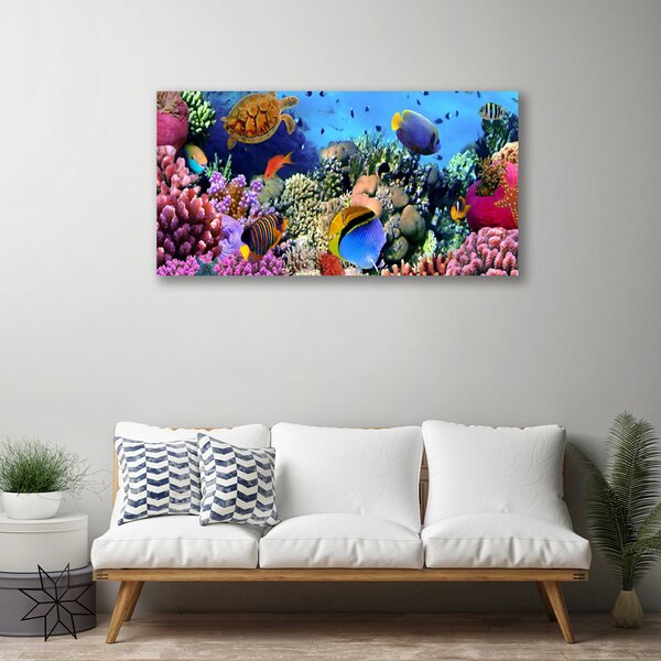 Quadro stampa su tela Natura della barriera corallina 100x50 cm