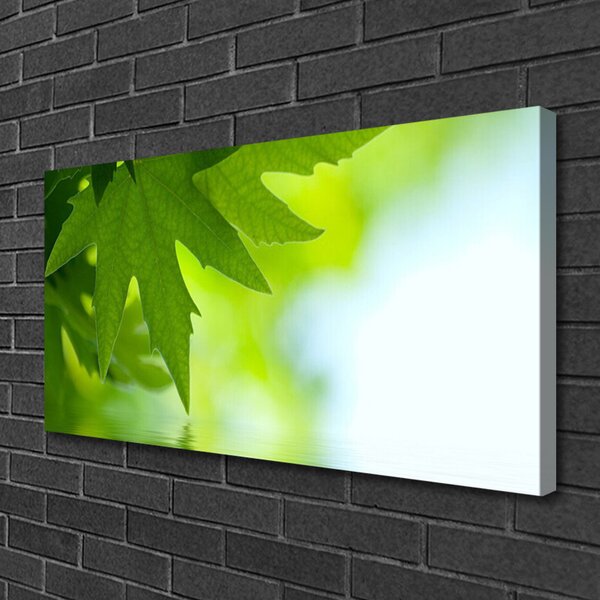 Quadro su tela Foglie di piante naturali 100x50 cm