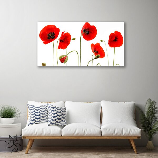 Quadro su tela Natura, papaveri, piante 100x50 cm