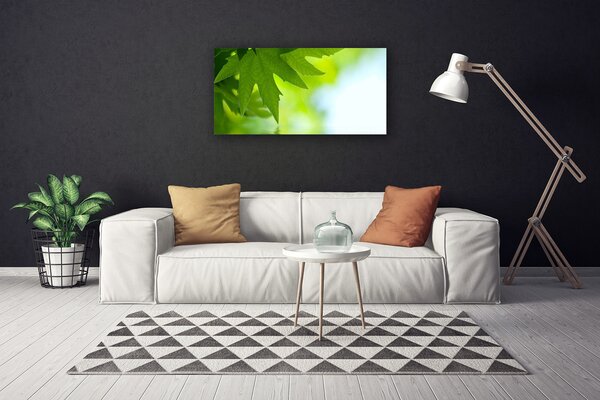 Quadro su tela Foglie di piante naturali 100x50 cm