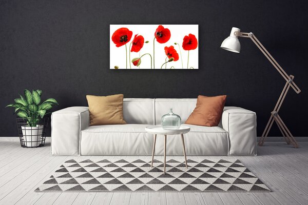 Quadro su tela Natura, papaveri, piante 100x50 cm