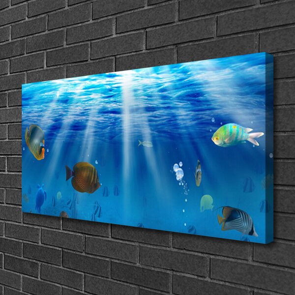Foto quadro su tela Pesce della natura 100x50 cm