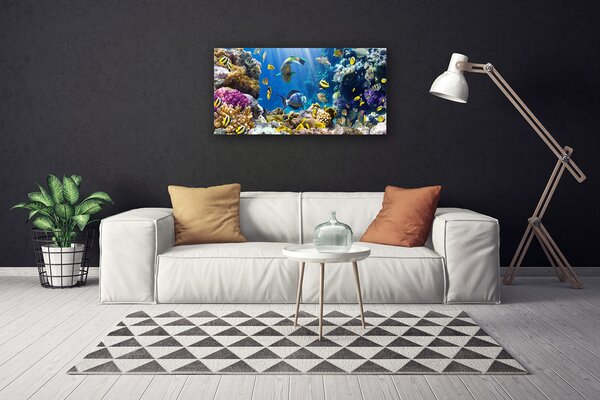 Quadro su tela Natura della barriera corallina 100x50 cm