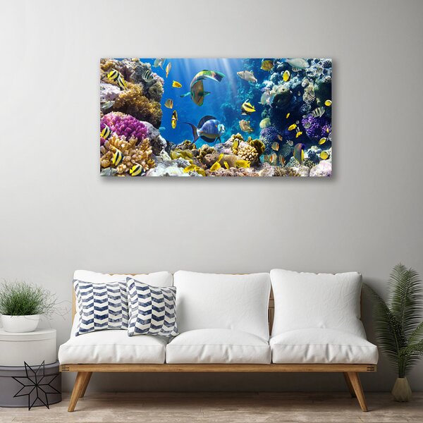 Quadro su tela Natura della barriera corallina 100x50 cm