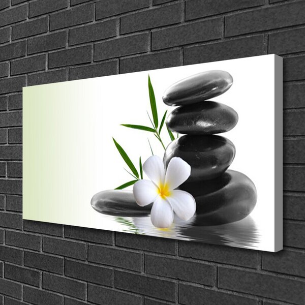 Quadro su tela Pietre di fiori Art 100x50 cm