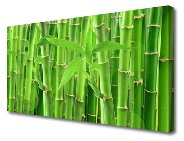 Quadro su tela Stelo della pianta del fiore di bambù 100x50 cm